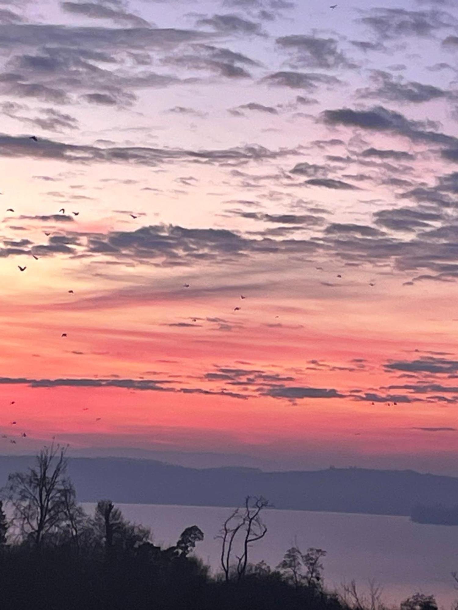 Ferienwohnung Urban - Jasmin -- Meersburg Dış mekan fotoğraf